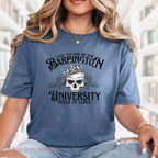 Barrington University, The Ritual House of Lords Bookish shirt, I vow you vow we vow, Indigo tee, Blue shirt