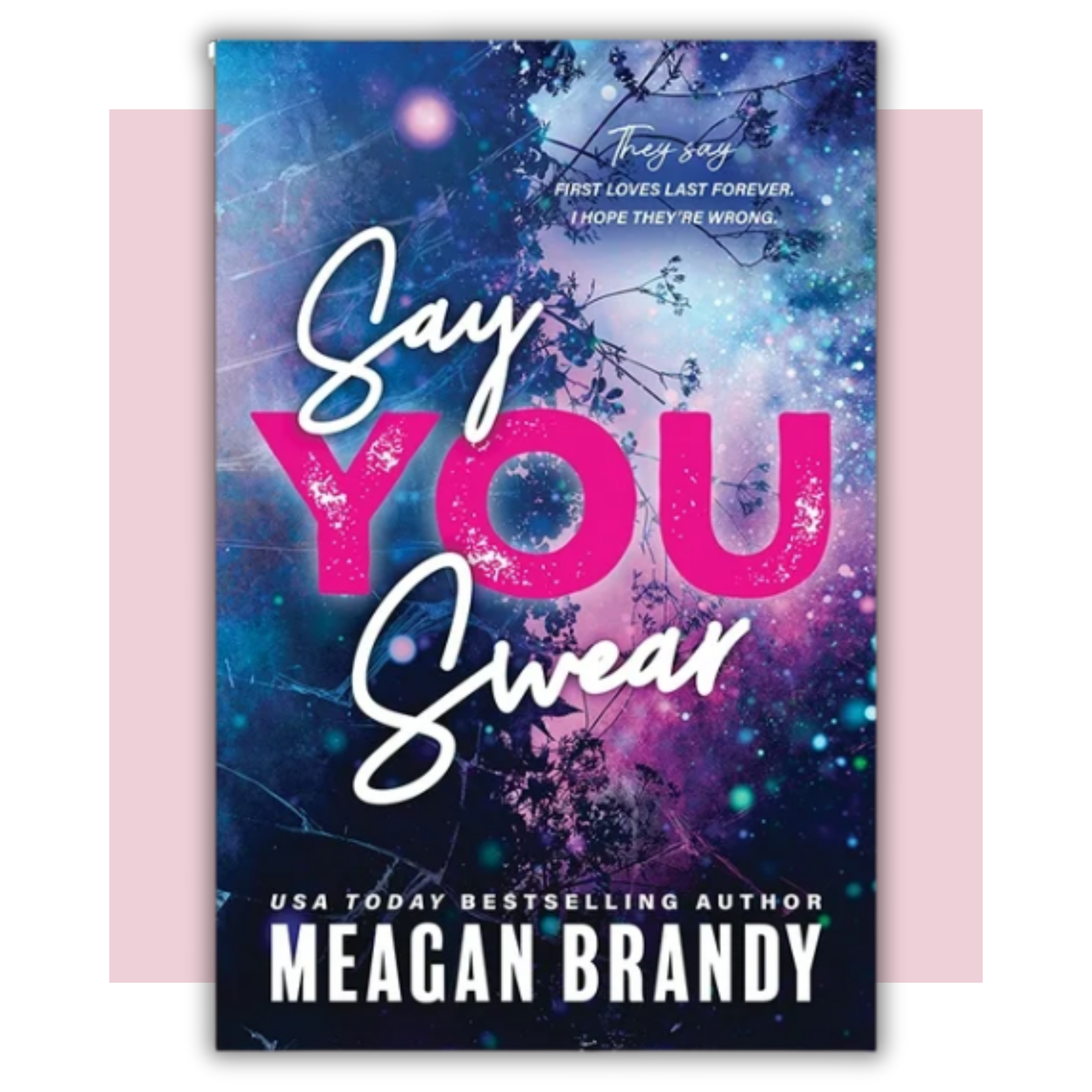 Book cover of 'Say You Swear' by Meagan Brandy 
